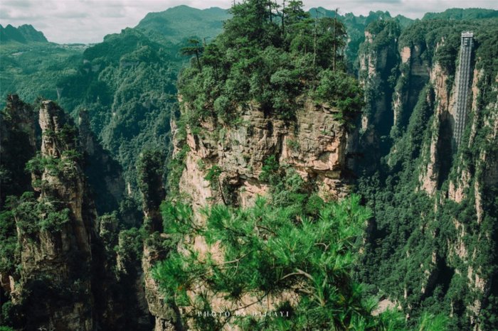 张家界国家森林公园